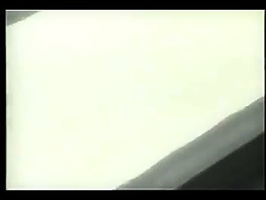 Riskantes Autobahnabenteuer eines deutschen Paares